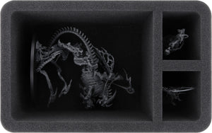 Feldherr Storage Box DSLB310 for Soulblight Gravelords