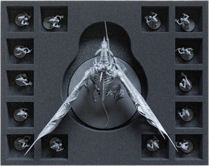 Feldherr GENERAL 370 bag with Storage Box FSLB310 for Flesh-eater Courts: Start Collecting