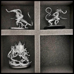 FS080A002 foam tray for Hedonites of Slaanesh - 6 compartments