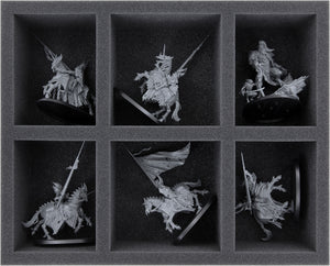 Feldherr Transporter for Soulblight Gravelords