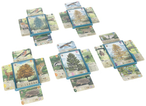 5 pcs value set Feldherr card tray for Forest Shuffle - Tree Cards