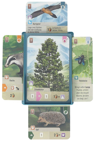5 pcs value set Feldherr card tray for Forest Shuffle - Tree Cards