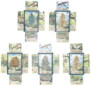 5 pcs value set Feldherr card tray for Forest Shuffle - Tree Cards